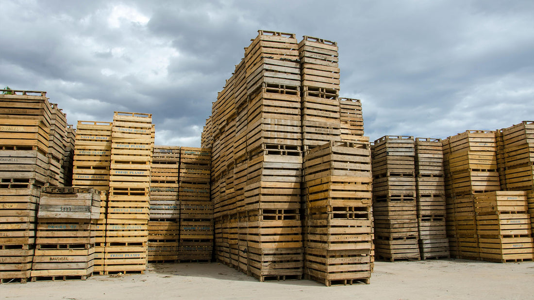 Best Practices for Efficient and Safe Pallet Stacking